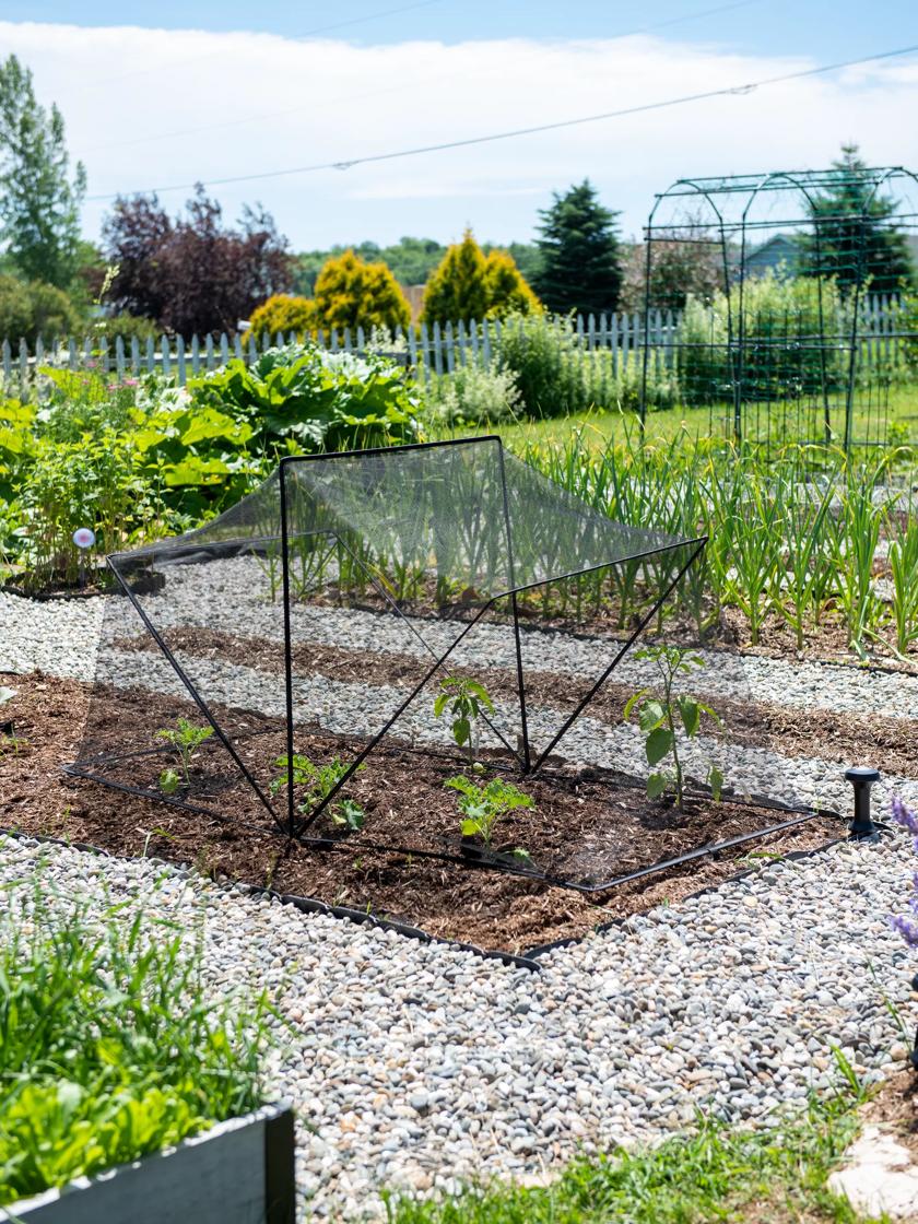 Gardener's Edge on X: This beautifully-designed storage tin is