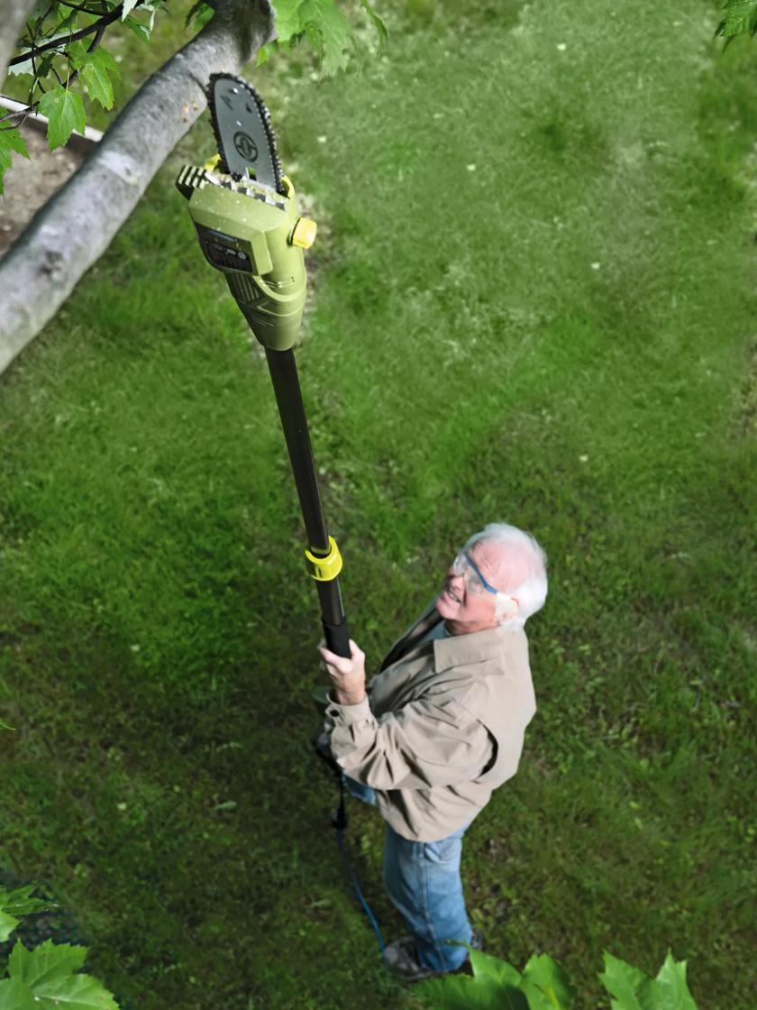 Electric tree deals pole saw