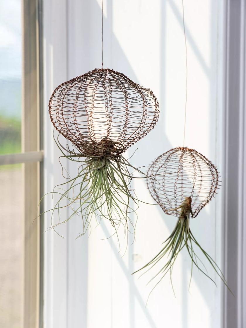 Copper Air Plant Hangers | Gardeners Supply