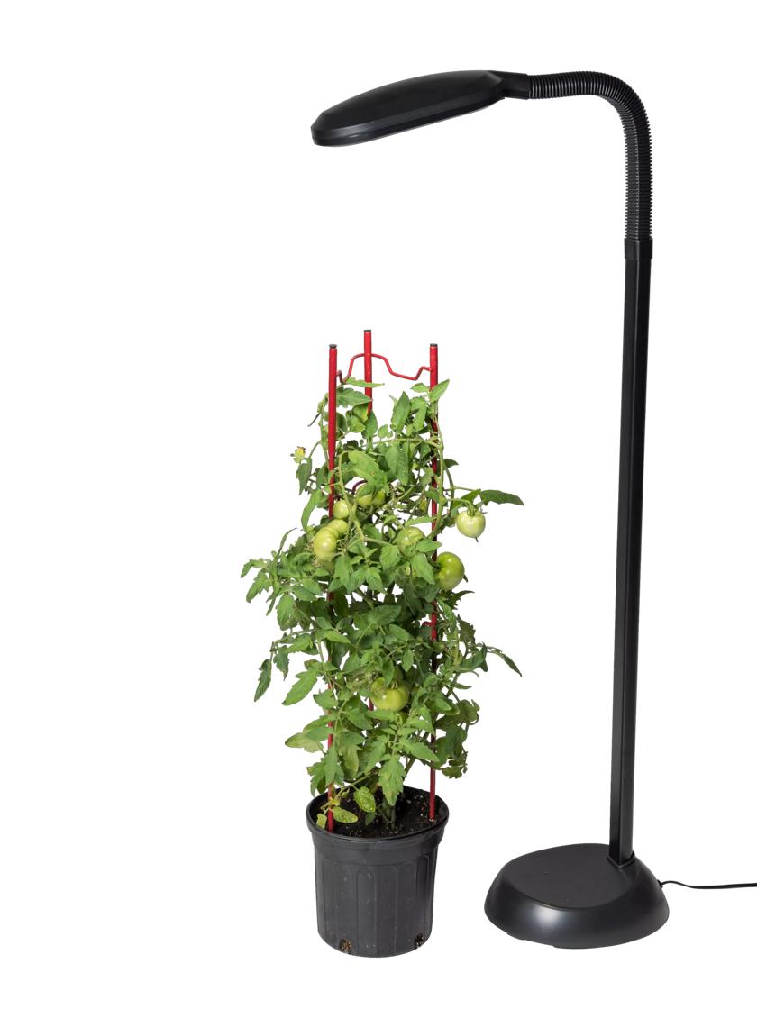 Floor Plant Lamp - Full Specrum CFL Grow Light