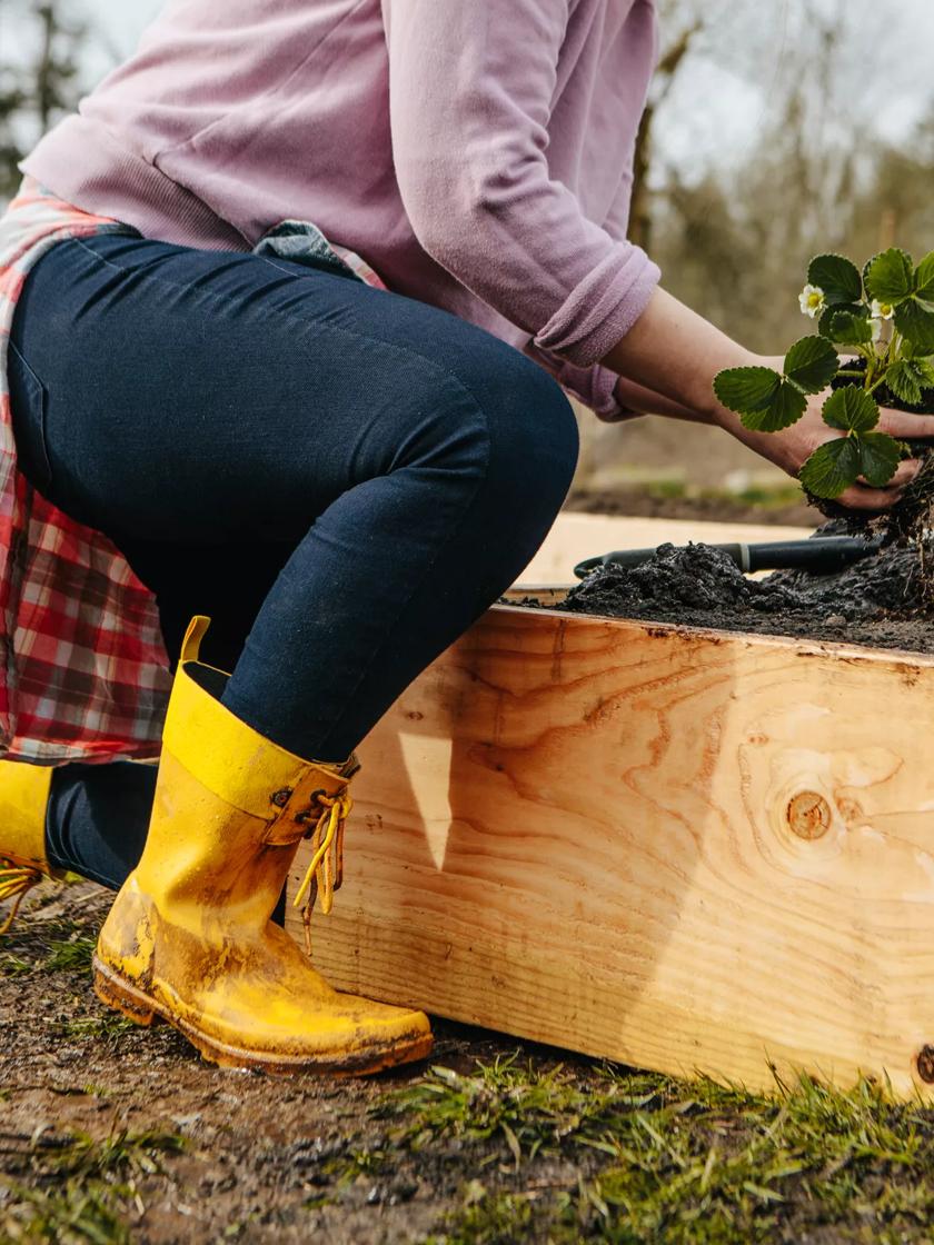 Bogs flora clearance bootie