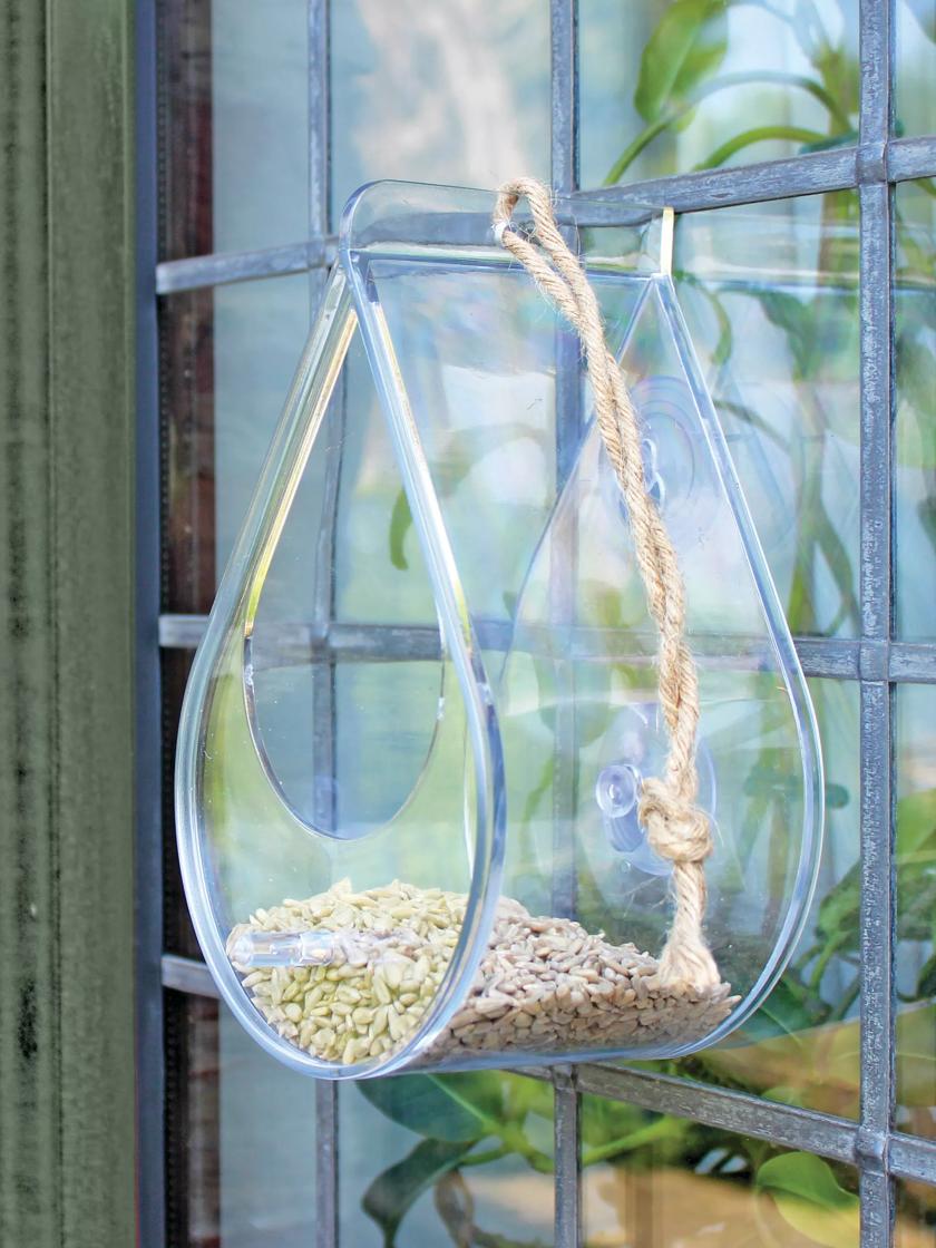 Dewdrop Window Bird Feeder