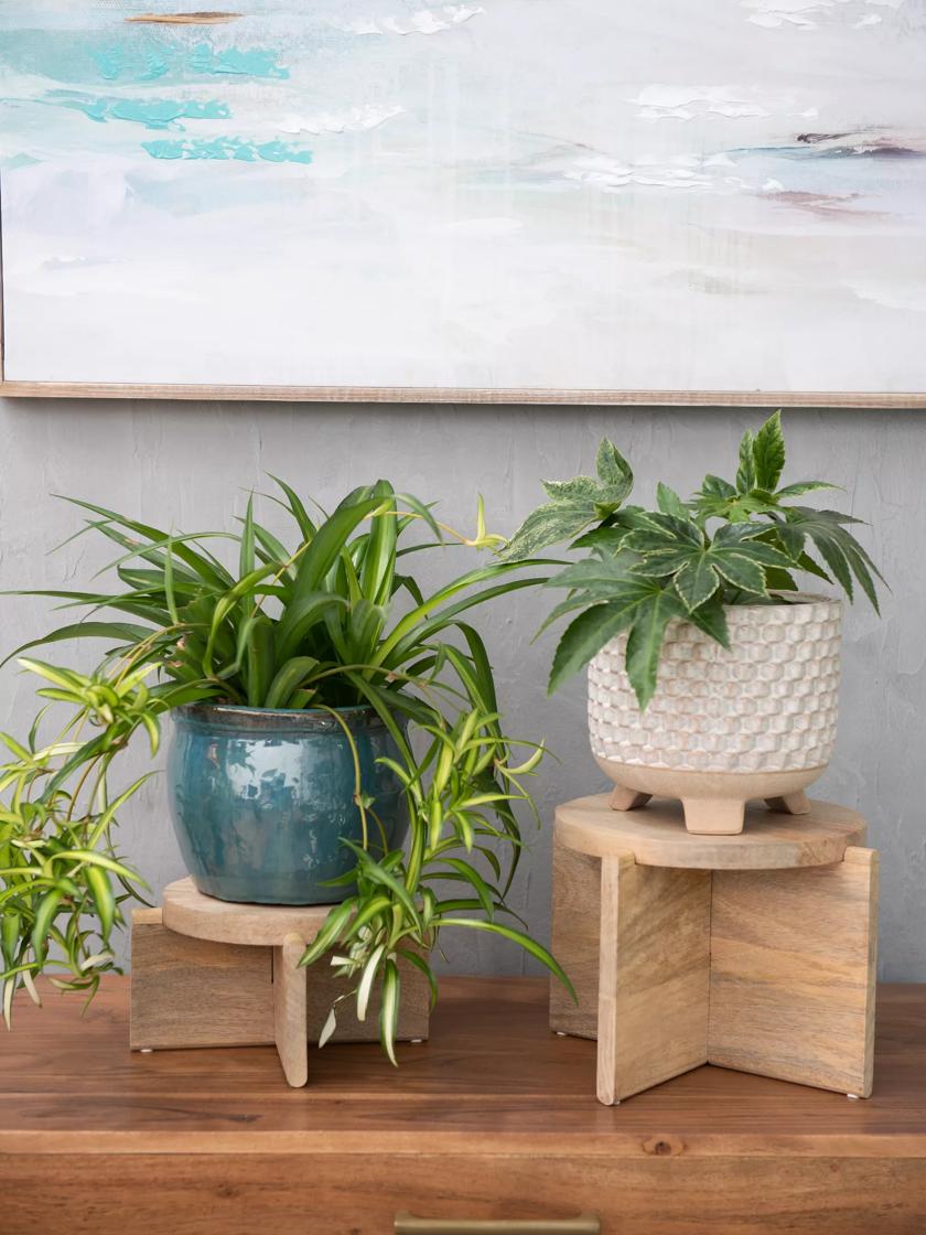 Mango Wood Plant Pot Riser Trivets