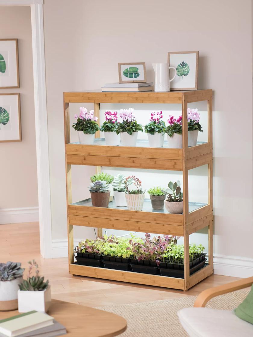 Bamboo LED Grow Light Garden
