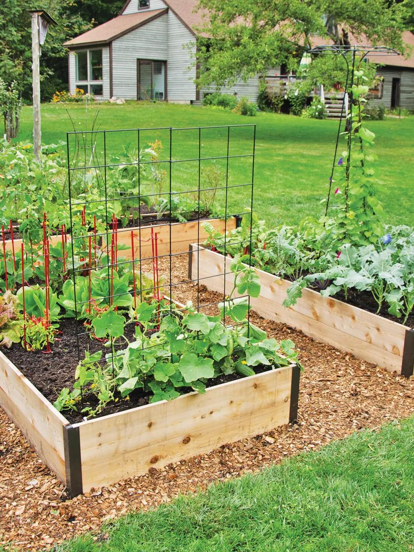 8 ft. W x 8 ft. D Cedar Garden in A Box with Greenhouse Covering Outdoor Living Today