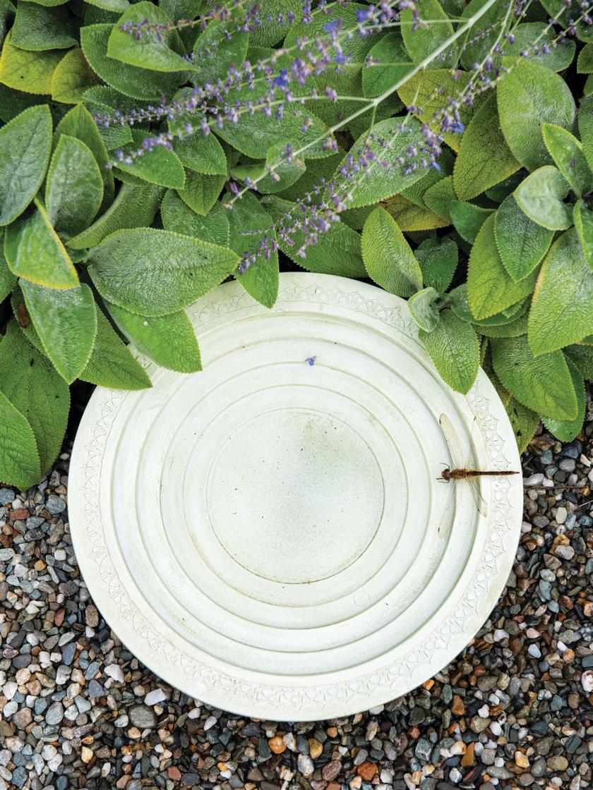 Nature Oasis Mini Birdbath & Drinker