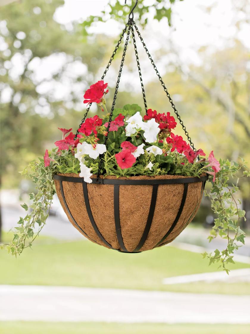 SPRING PARK Metal Hanging Flower Plant Pots, Metal Bucket Flower