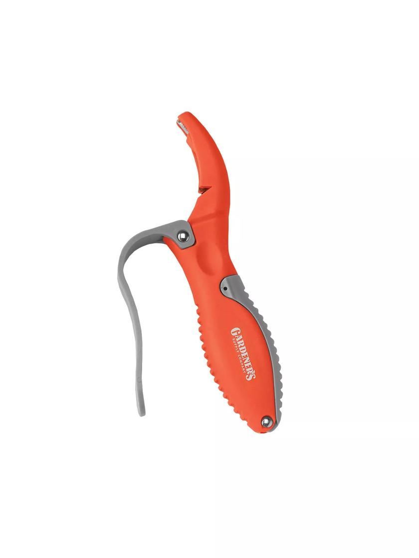 Tool Sharpener orange stock image