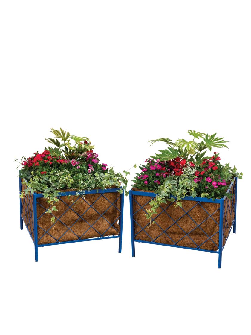 Dea Roman Arch Planters with Coir Liners, Set of 2