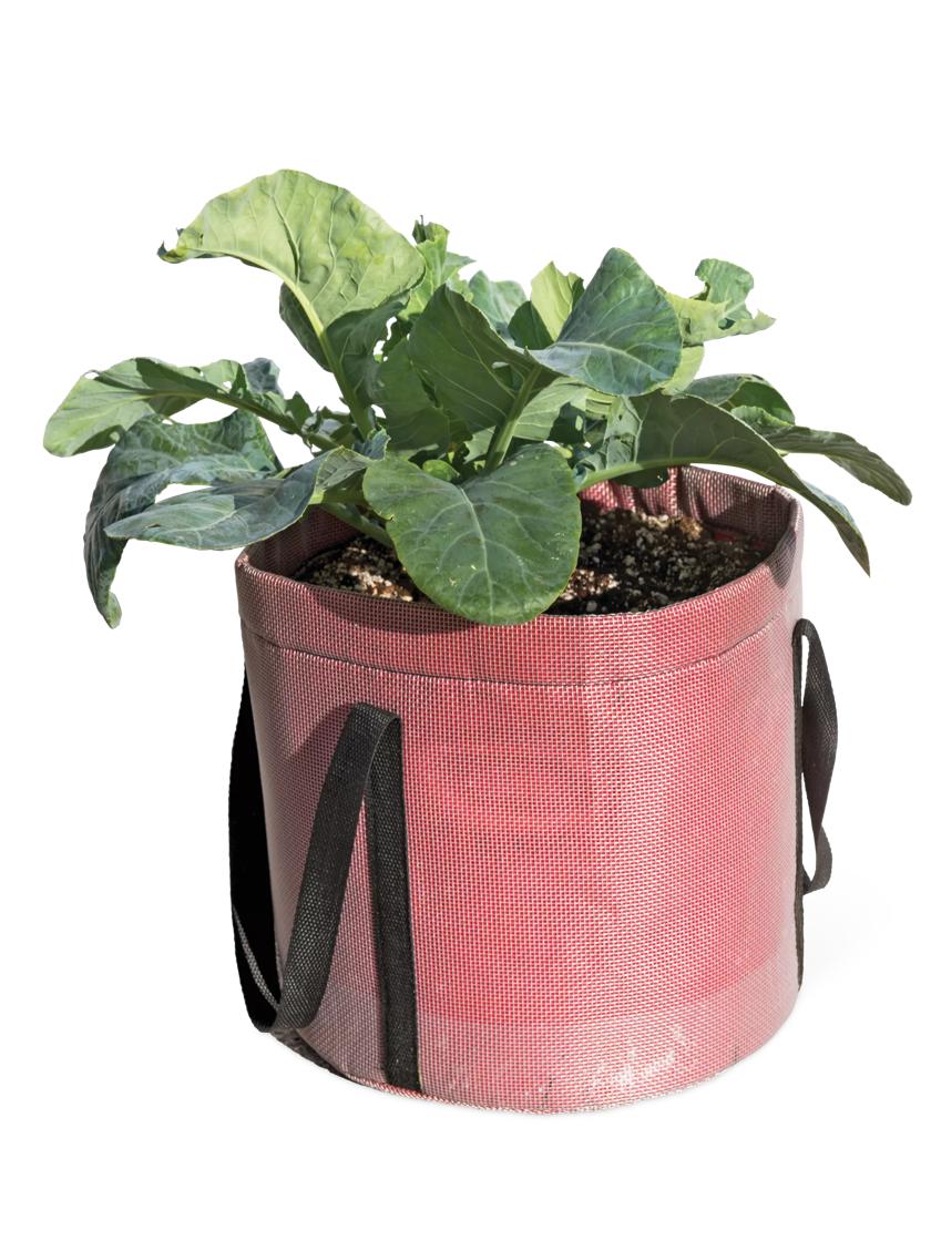 Las Flores Community Garden - Fabric grow bags are great planters for  growing organic veggies. Their roots become air pruned and are more fibrous  with lots of small root tips that allow