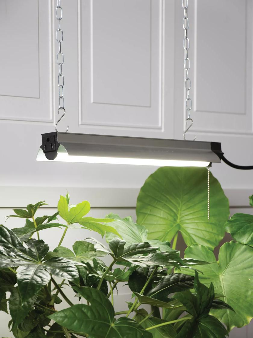 Led shop light for growing plants sales