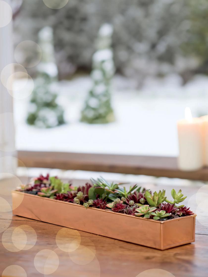 Copper Plant/Flower on sale Tray