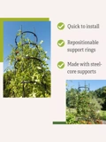 Titan Tall Tomato Cages highlights infographic