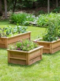 Craftsbury Raised Beds (14 D)