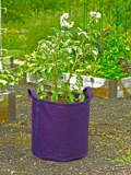 Gardener's Best JUMBO Potato Grow Bag - Holds 120 Quarts of Soil