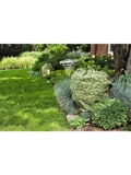ShrubJacket Covers in garden bed