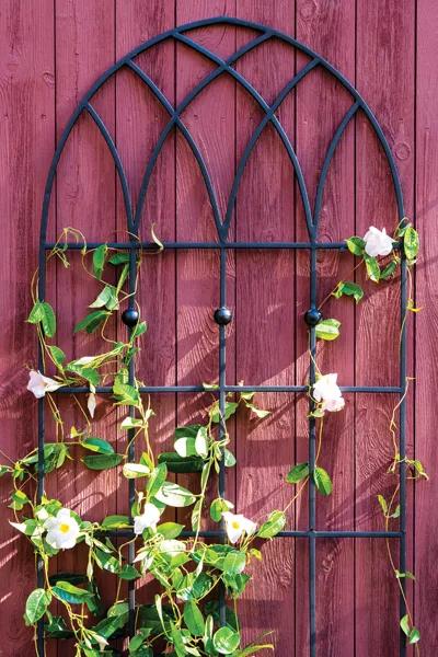  Gothic Arch Trellis with white climbing flowers