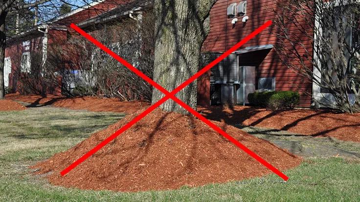 Dark Blend Mulch - Free of Dye - Old Station Landscape & Masonry