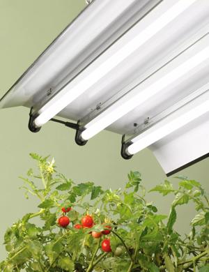 High Intensity Grow Light Fixture