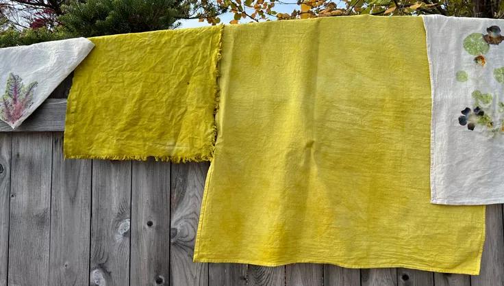 Fabric hanging on a fence to dry after dying it naturally