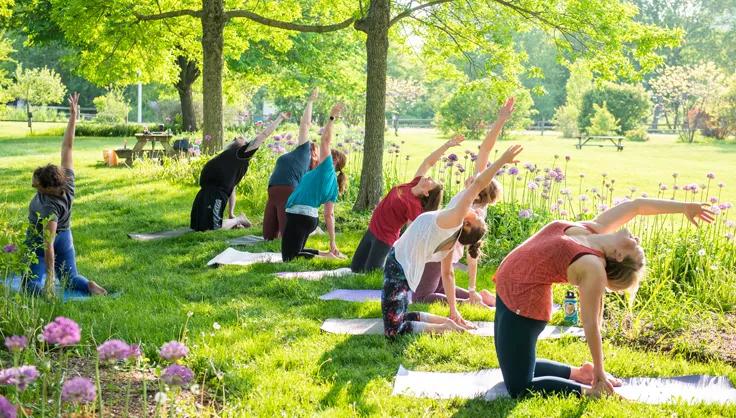 Group Doing Yoga In the Garden
