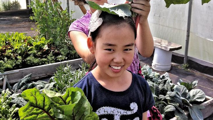 Young girl holding up swiss chard