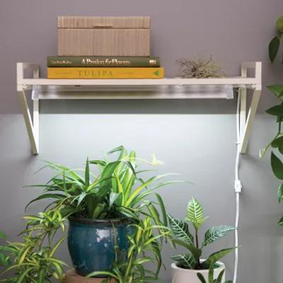 Oslo Grow Light Wall Shelf