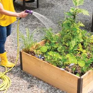 Person watering a raised bed with hose and spray nozzle