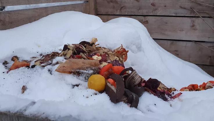 Compost Pile with snow and fresh compost scraps