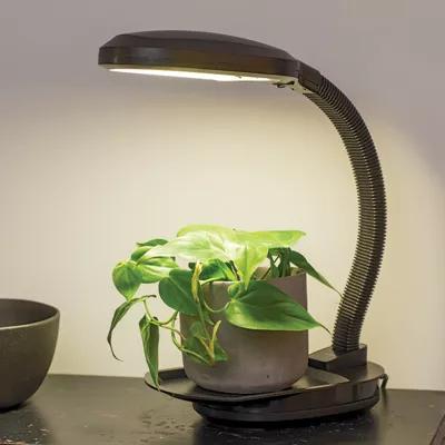 Desk 2024 grow lamp