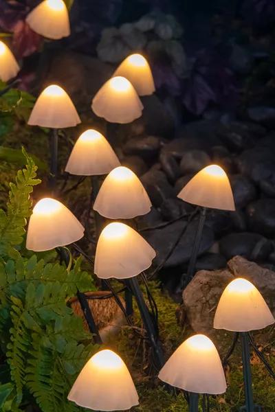 Tiny Mushroom String Lights