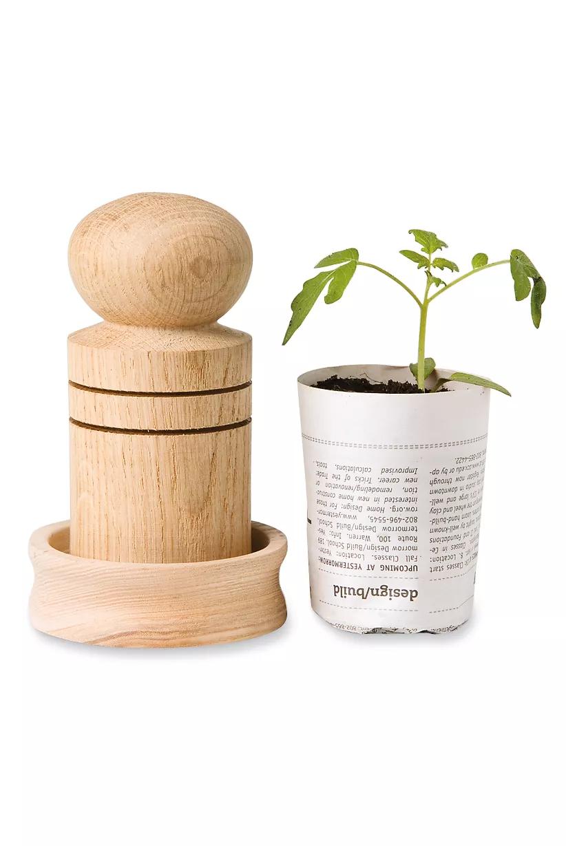 7 Sustainable Planters & Eco-Friendly Plant Pots For Your Home - The Good  Trade