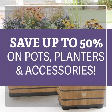 Save up to 50% on select pots, planters and accessories